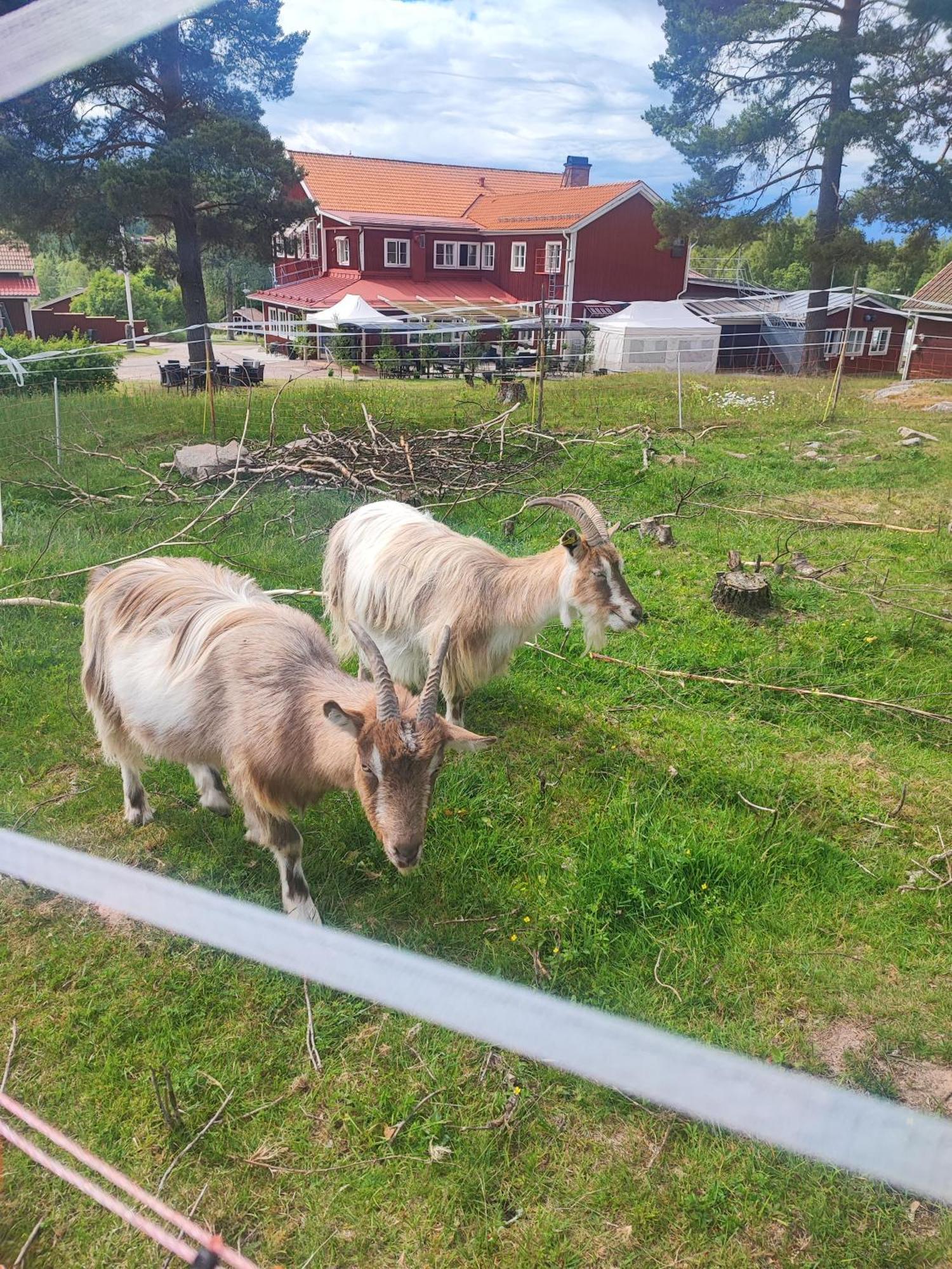 Sjugare Gard Bed & Breakfast Leksand Kültér fotó