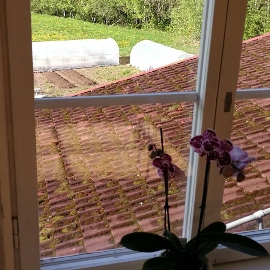 Sjugare Gard Bed & Breakfast Leksand Kültér fotó